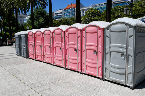 Best Portable Restroom Setup and Delivery  in Baltic, SD